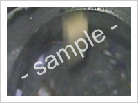 パルパー内で溶解処理される様子